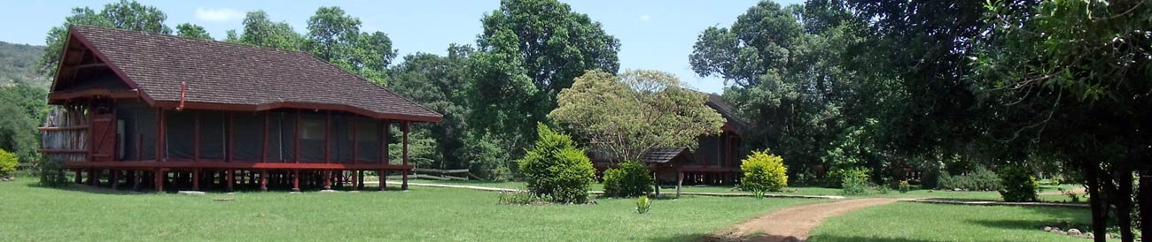 Royal Mara Safari Lodge